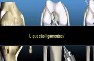 ligamentos o